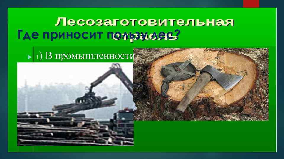 Где приносит пользу лес? 1 ) В промышленности 