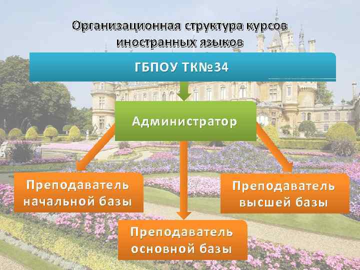 Организационная структура курсов иностранных языков ГБПОУ ТК№ 34 Администратор Преподаватель начальной базы Преподаватель высшей