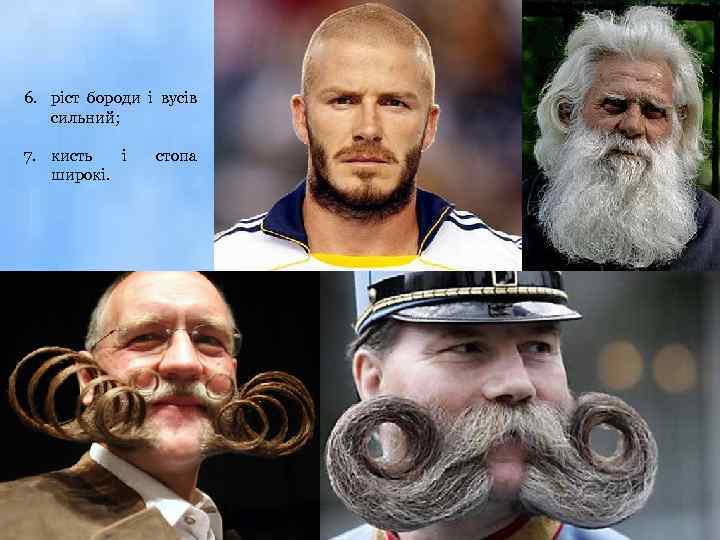 6. ріст бороди і вусів сильний; 7. кисть і широкі. стопа 
