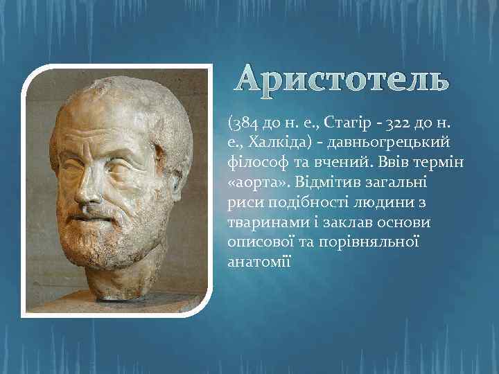 Аристотель (384 до н. е. , Стагір - 322 до н. е. , Халкіда)