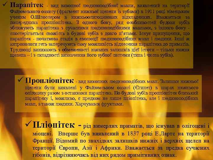 ü Парапітек - вид викопної людиноподібної мавпи, виявлений на території Файюмського оазису (фрагмент нижньої