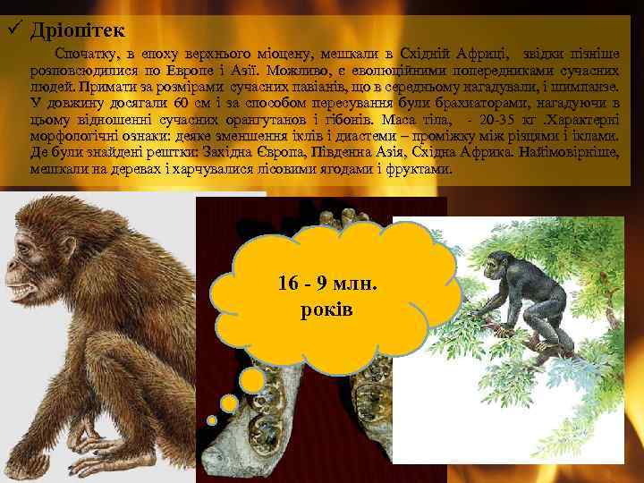 ü Дріопітек Спочатку, в епоху верхнього міоцену, мешкали в Східній Африці, звідки пізніше розповсюдилися