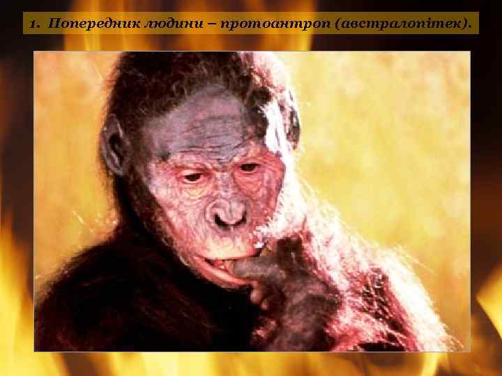 1. Попередник людини – протоантроп (австралопітек). 