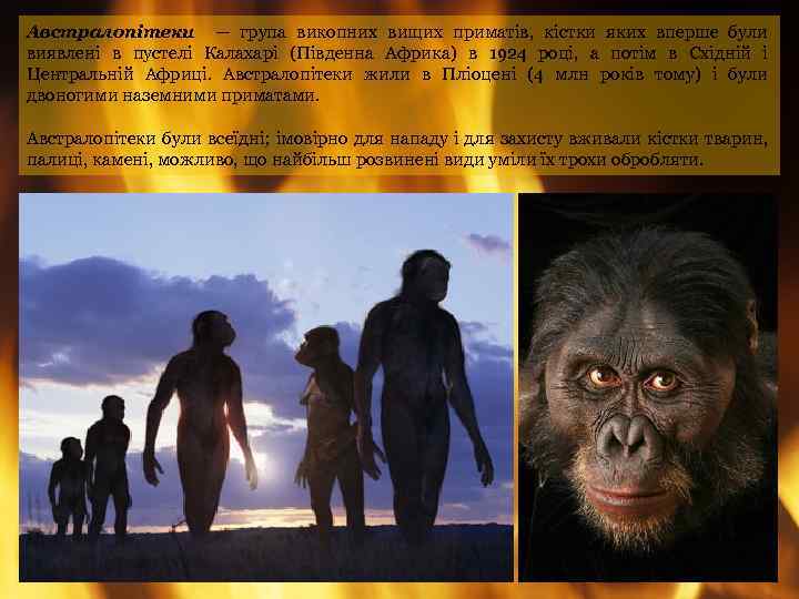Австралопітеки — група викопних вищих приматів, кістки яких вперше були виявлені в пустелі Калахарі