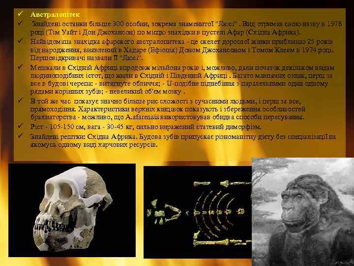 ü Австралопітек ü Знайдені останки більше 300 особин, зокрема знаменитої "Люсі". Вид отримав свою