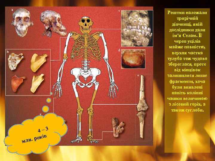 Рештки належали трирічній дівчинці, якій дослідники дали ім'я Селам. Її череп уцілів майже повністю,