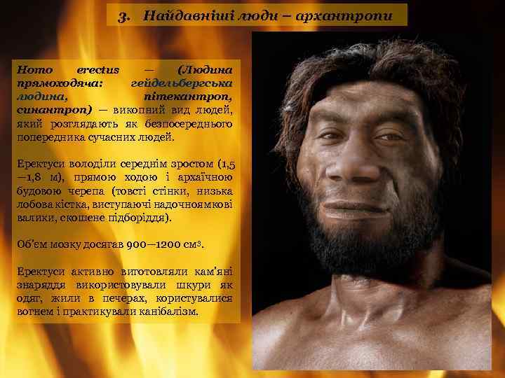 3. Найдавніші люди – архантропи Homo erectus — (Людина прямоходяча: гейдельбергська людина, пітекантроп, синантроп)