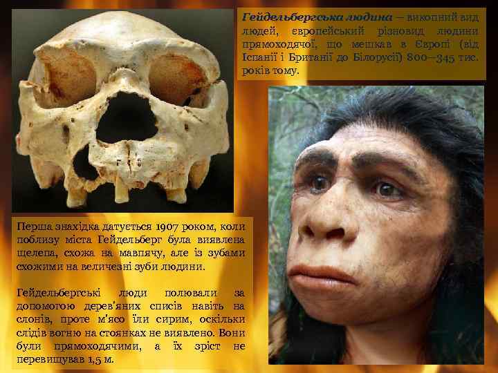 Гейдельбергська людина — викопний вид людей, європейський різновид людини прямоходячої, що мешкав в Європі