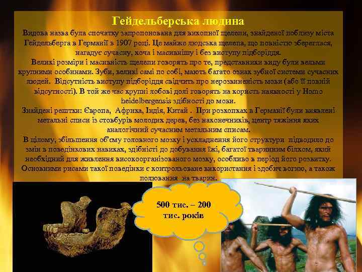 Гейдельберська людина Видова назва була спочатку запропонована для викопної щелепи, знайденої поблизу міста Гейдельберга