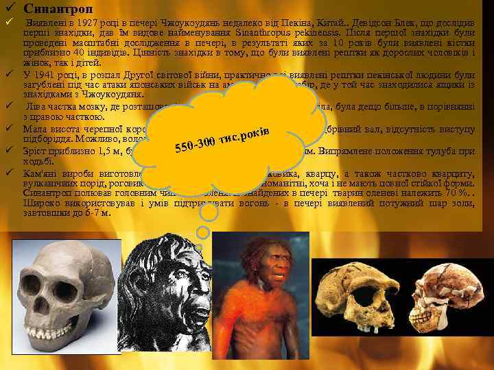 ü Синантроп ü ü ü Виявлені в 1927 році в печері Чжоукоудянь недалеко від