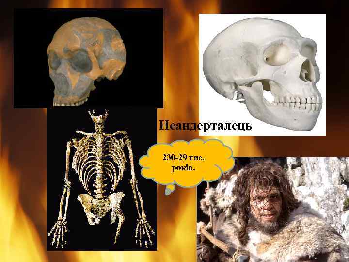 Неандерталець 230 -29 тис. років. 