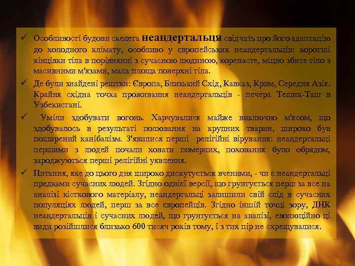 ü Особливості будови скелета неандертальця свідчать про його адаптацію до холодного клімату, особливо у