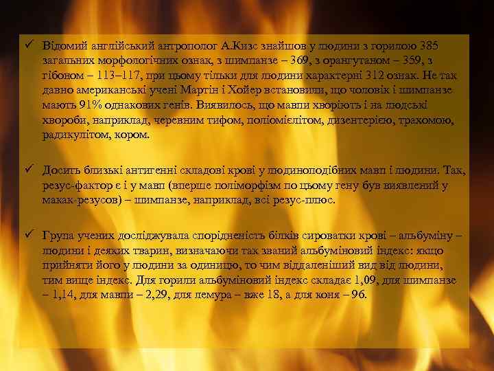ü Відомий англійський антрополог А. Кизс знайшов у людини з горилою 385 загальних морфологічних