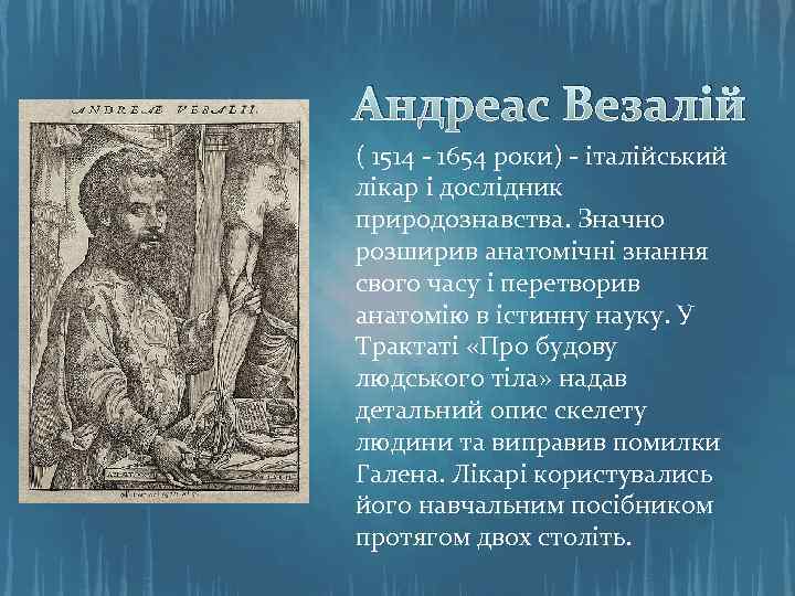 Андреас Везалій ( 1514 - 1654 роки) - італійський лікар і дослідник природознавства. Значно
