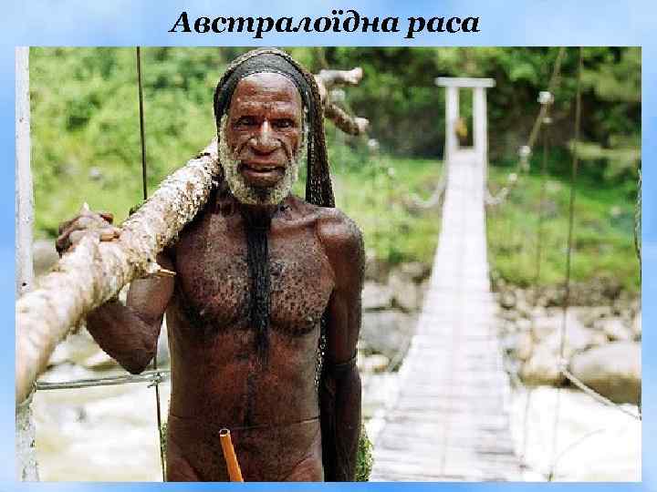 Австралоїдна раса 