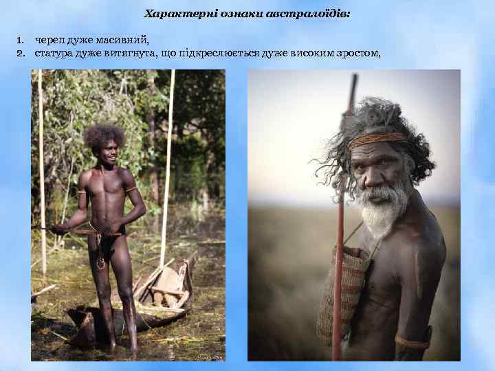 Характерні ознаки австралоїдів: 1. череп дуже масивний, 2. статура дуже витягнута, що підкреслюється дуже