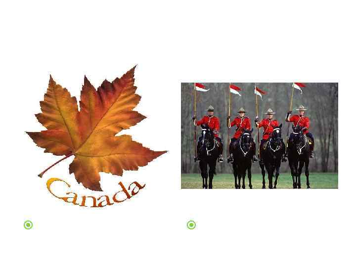 Символы Канады Кленовый лист Королевская Канадская конная полиция 