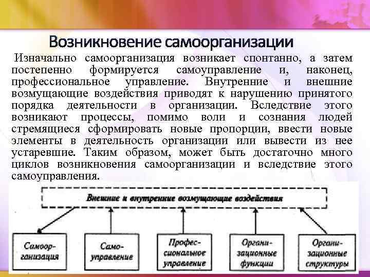 Возникновение самоорганизации Изначально самоорганизация возникает спонтанно, а затем постепенно формируется самоуправление и, наконец, профессиональное