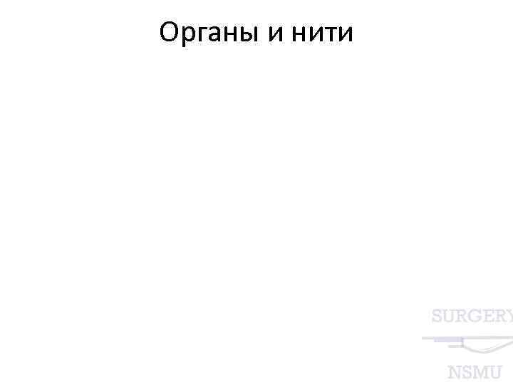 Органы и нити 