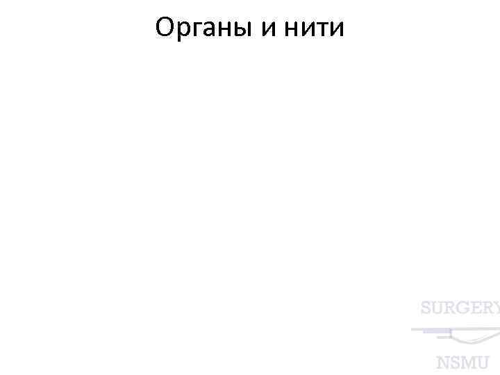 Органы и нити 