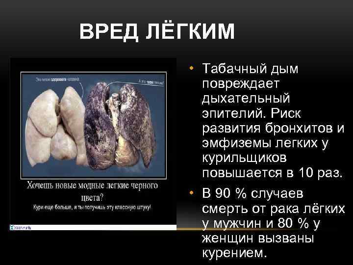 ВРЕД ЛЁГКИМ • Табачный дым повреждает дыхательный эпителий. Риск развития бронхитов и эмфиземы легких