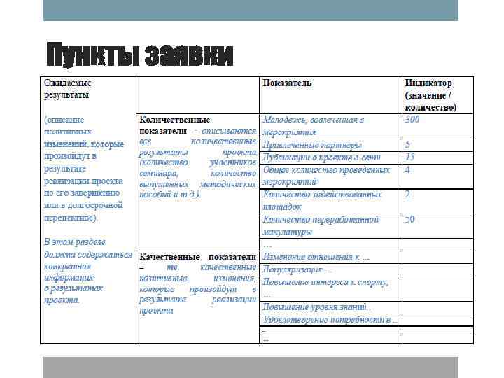 Пункты заявки 