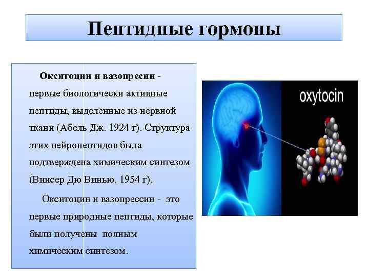 Пептидные гормоны Окситоцин и вазопресин - первые биологически активные пептиды, выделенные из нервной ткани