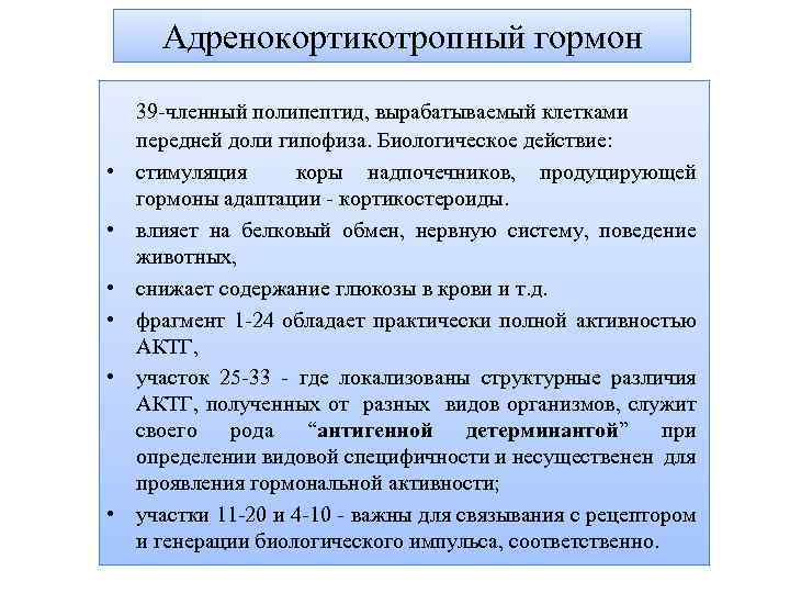 Адренокортикотропный гормон • • • 39 -членный полипептид, вырабатываемый клетками передней доли гипофиза. Биологическое