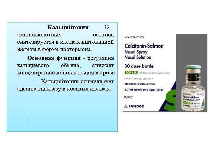 Кальцийтонин - 32 аминокислотных остатка, синтезируется в клетках щитовидной железы в форме прогормона. Основная