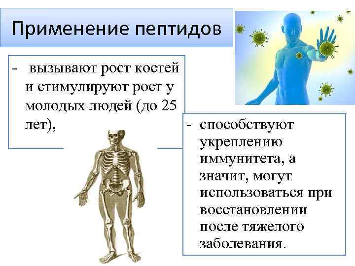 Применение пептидов - вызывают рост костей и стимулируют рост у молодых людей (до 25