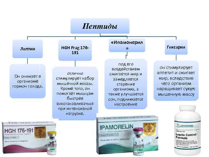 Пептиды Лептин Он снижает в организме гормон голода. HGH Frag 176191 отлично стимулирует набор