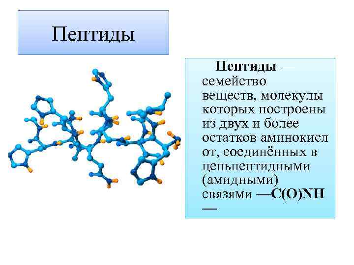 Пептиды — семейство веществ, молекулы которых построены из двух и более остатков аминокисл от,