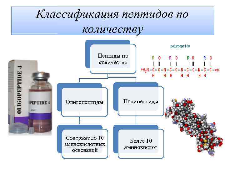 Классификация пептидов по количеству Пептиды по количеству Олигопептиды Полипептиды Содержат до 10 аминокислотных оснований