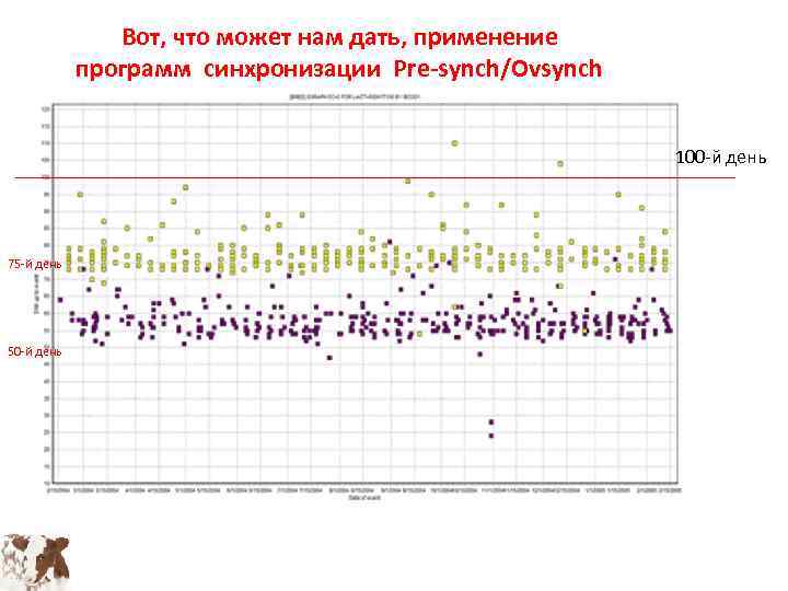 Пресинх для коров схема синхронизации