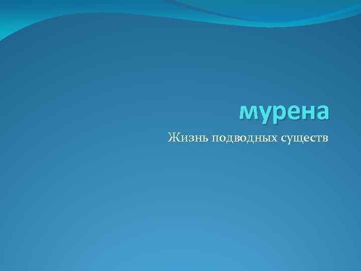 мурена Жизнь подводных существ 