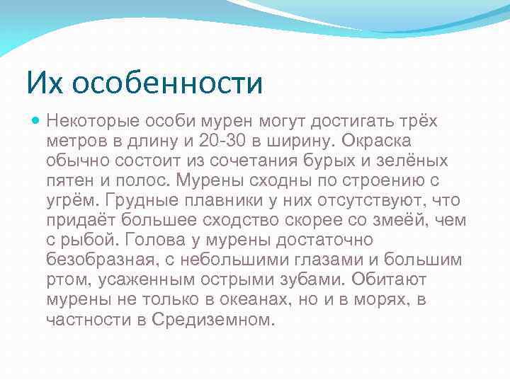 Их особенности Некоторые особи мурен могут достигать трёх метров в длину и 20 -30