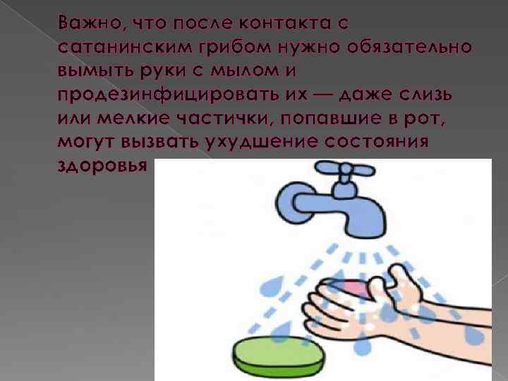 Важно, что после контакта с сатанинским грибом нужно обязательно вымыть руки с мылом и