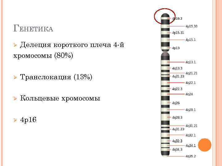 4 признака хромосом. Делеция короткого плеча 4-й хромосомы. Делеция короткого плеча хромосомы. Синдром делеции короткого плеча 4 хромосомы. Делеция генетика.