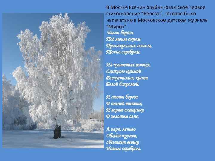 В Москве Есенин опубликовал своё первое стихотворение “Береза”, которое было напечатано в Московском детском