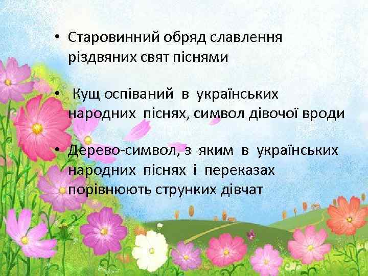  • Старовинний обряд славлення різдвяних свят піснями • Кущ оспіваний в українських народних