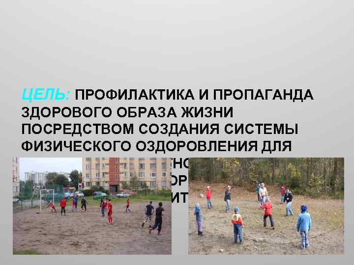 ЦЕЛЬ: ПРОФИЛАКТИКА И ПРОПАГАНДА ЗДОРОВОГО ОБРАЗА ЖИЗНИ ПОСРЕДСТВОМ СОЗДАНИЯ СИСТЕМЫ ФИЗИЧЕСКОГО ОЗДОРОВЛЕНИЯ ДЛЯ ОСМЫСЛЕННОГО