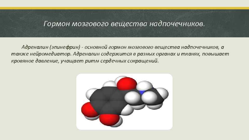 Гормон мозгового. Мозговое вещество надпочечников и адреналин. Основной гормон мозгового вещества надпочечников. Гормоны мозгоаоговезества надпочечников. Адреналин гормон надпочечников.