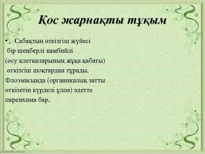 Қос жарнақты тұқым • Сабақтың өткізгіш жүйесі бір шеңберлі камбийлі (өсу клеткаларының жұқа қабаты)