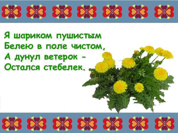 Я шариком пушистым Белею в поле чистом, А дунул ветерок Остался стебелек. 