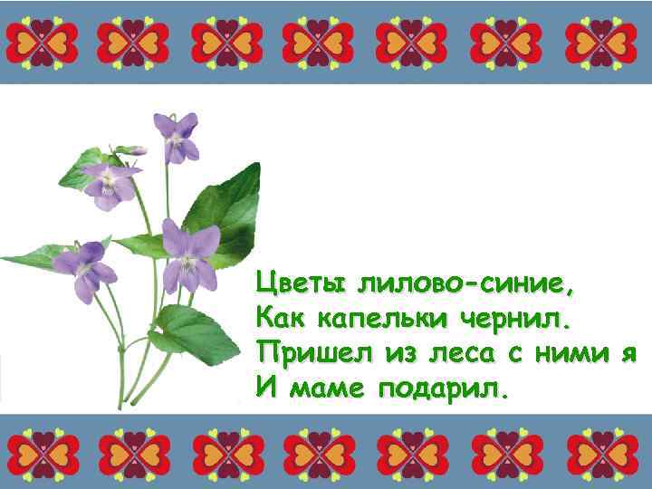 Цветы лилово-синие, Как капельки чернил. Пришел из леса с ними я И маме подарил.