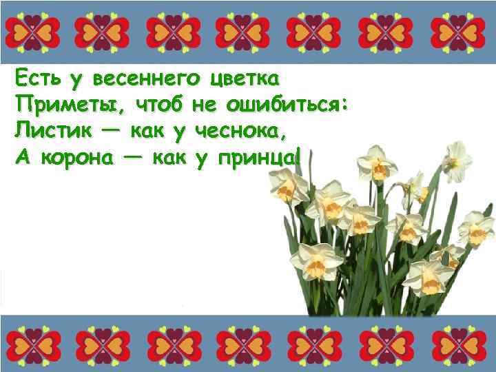 Есть у весеннего цветка Приметы, чтоб не ошибиться: Листик — как у чеснока, А