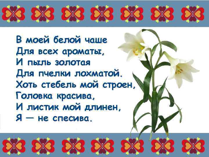 В моей белой чаше Для всех ароматы, И пыль золотая Для пчелки лохматой. Хоть