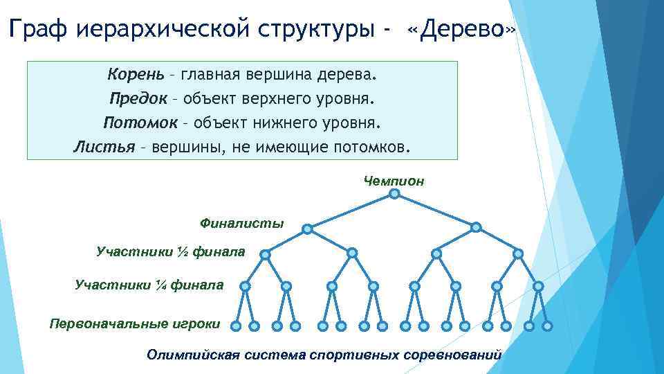 Вершины дерева графы