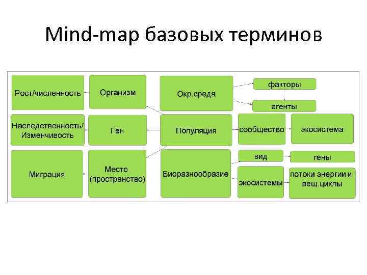 Mind-map базовых терминов 