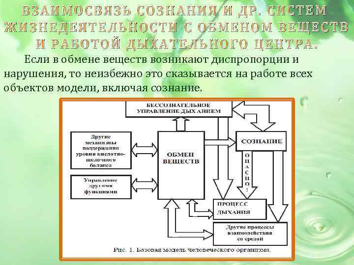 ВЗАИМОСВЯЗЬ СОЗНАНИЯ И ДР. СИСТЕМ ЖИЗНЕДЕЯТЕЛЬНОСТИ С ОБМЕНОМ ВЕЩЕСТВ И РАБОТОЙ ДЫХАТЕЛЬНОГО ЦЕНТРА. Если